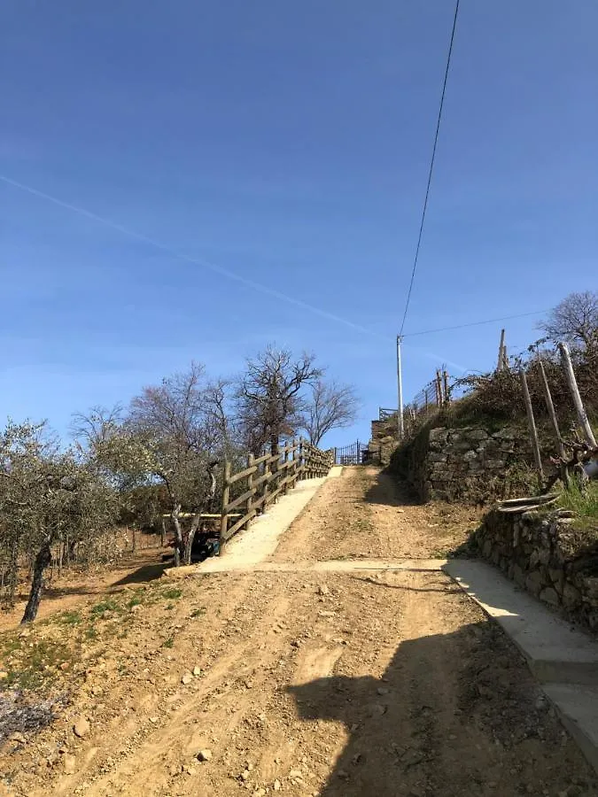 Podere Soccorso Casa Vigneto Montalcino 0*,