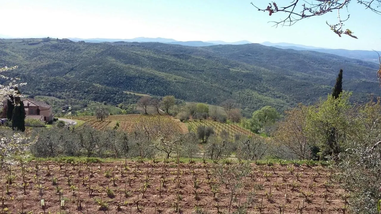 Holiday home Podere Soccorso Casa Vigneto Montalcino