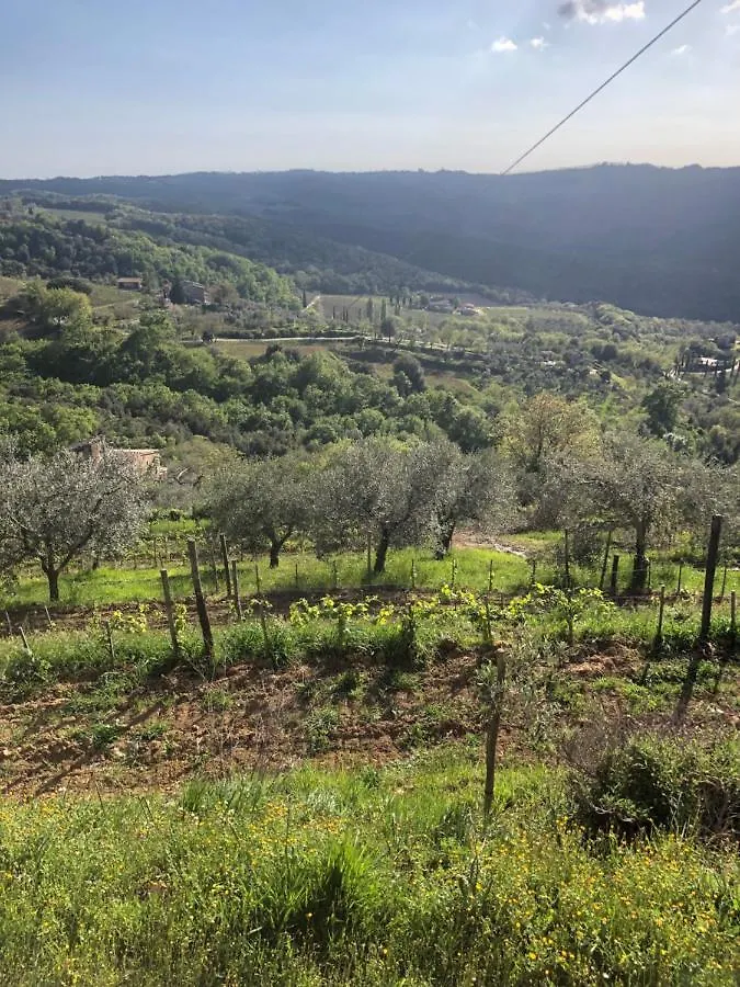 Podere Soccorso Casa Vigneto Montalcino 0*,  Italy