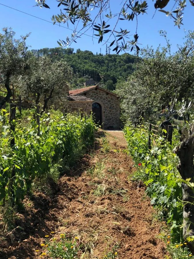 Podere Soccorso Casa Vigneto Montalcino Holiday home
