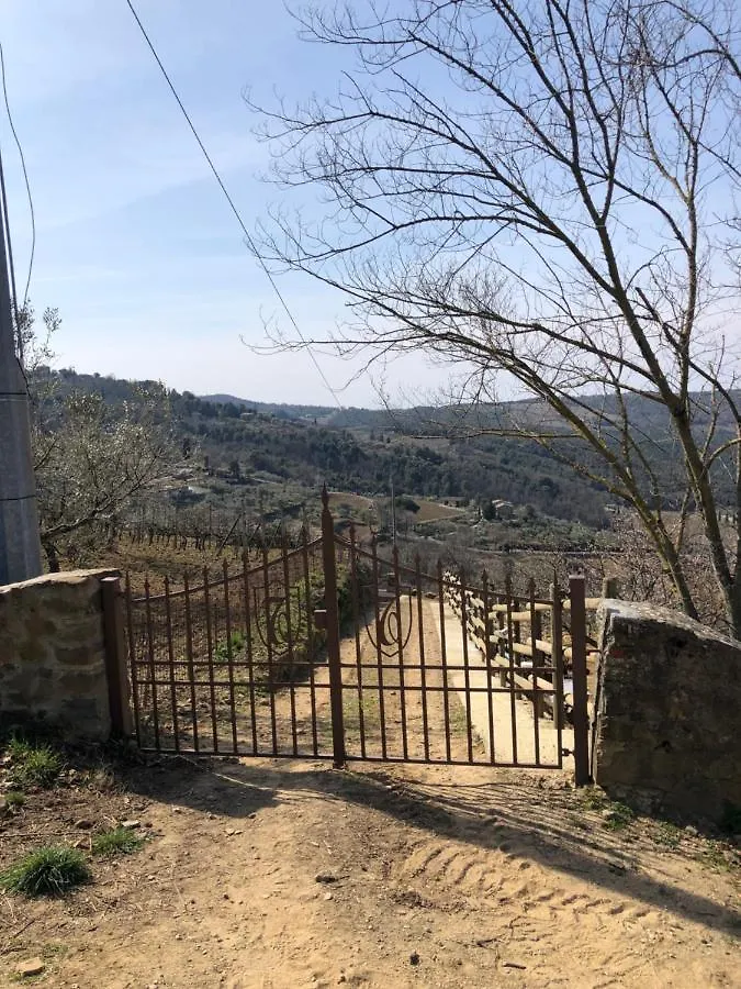 Podere Soccorso Casa Vigneto Montalcino
