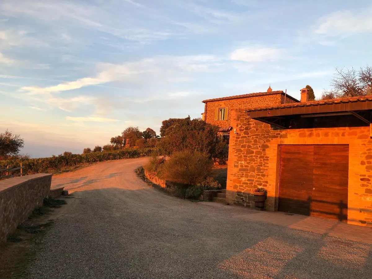 Podere Soccorso Casa Vigneto Montalcino