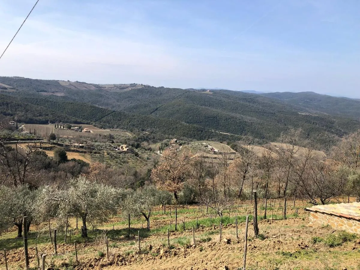 Podere Soccorso Casa Vigneto Montalcino